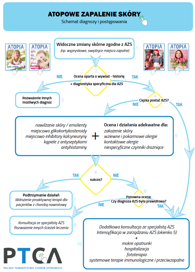 Schemat diagnozy i leczenia AZS
